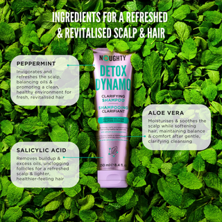 Detox Dynamo Shampoo 