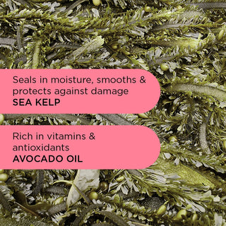 Curly Hair Starter Bundle