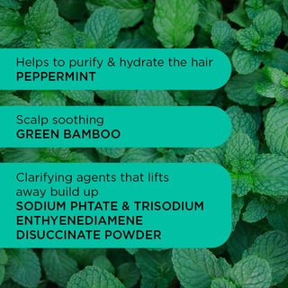 Champú Detox Dynamo 