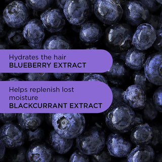 Champú Purple Reign - 250ml 