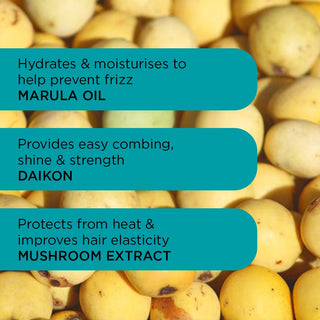 Anti-Frizz Starter Bundel 